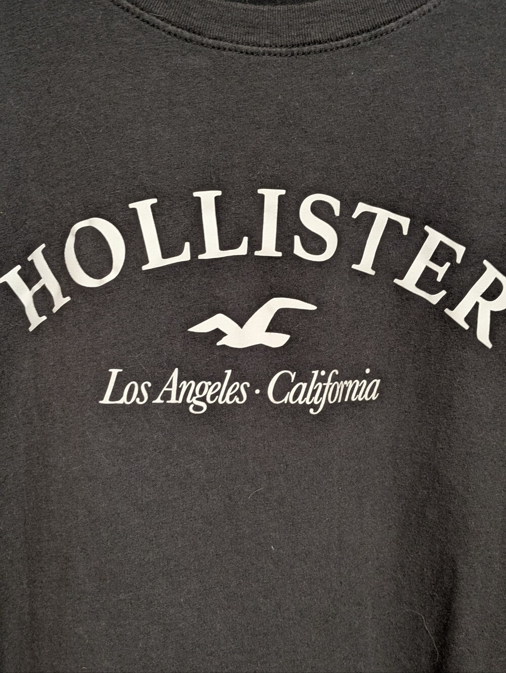 Hollister Cropped Logo T Shirt Gray Size Medium - Picture 3 of 6
